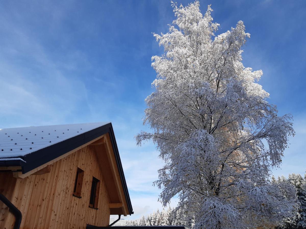 Apartament Auszeit Almhaus Schmalzbauer Sankt Andrä Zewnętrze zdjęcie